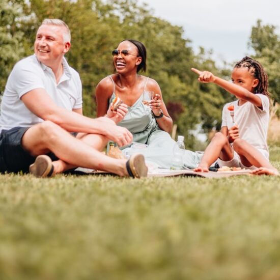 Frühlingserwachen Picknickwiese